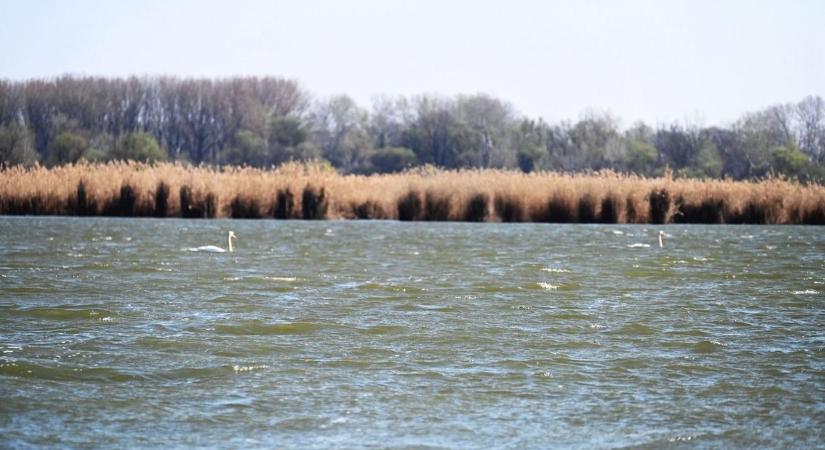 Ötszörösét fizetheti, aki megszegi ezt a szabályt a vízparton