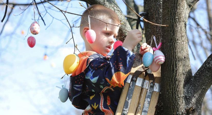 Autós találkozó, Hungarikum piknik, Palóc piac – itt van minden a húsvéti hosszú hétvégéről, ha programot keresel