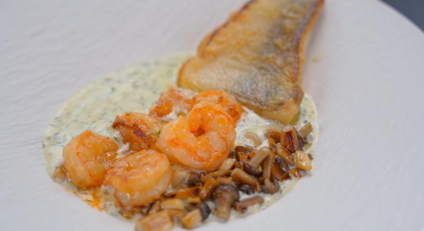 Fogas kárpáti módra