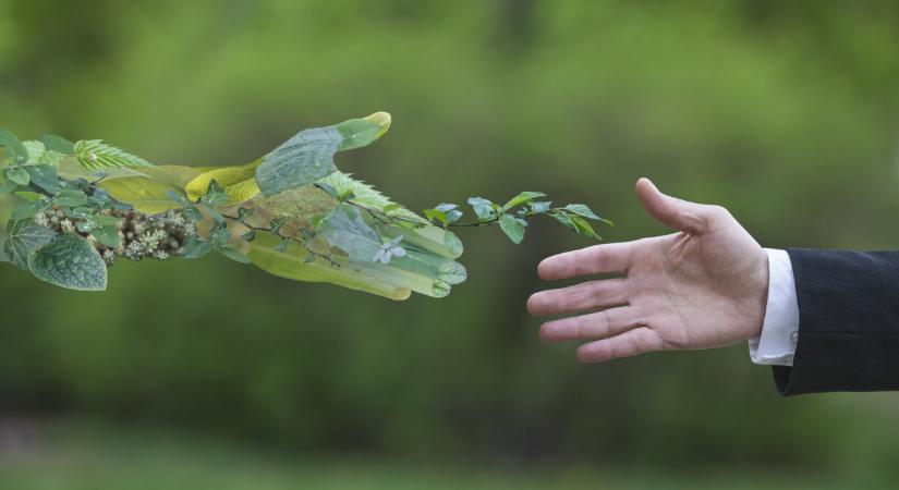 Klímaszakértő: Kína lett a zöld átállás katalizátora, de keletkezett egy óriási kérdés