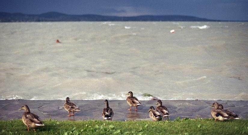 A Balatonnál még mindig nem csitul a szél, figyelmeztetnek