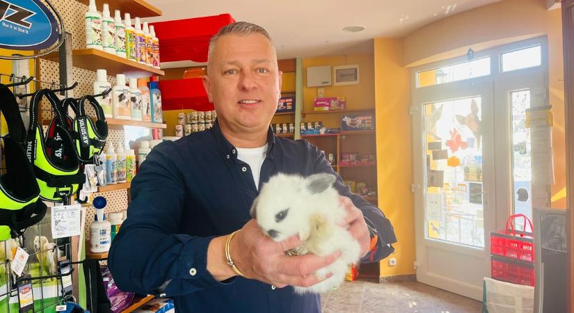 Állatkereskedést kérdeztünk a törpenyúl helyes tartásáról – ne csak húsvéti ajándék legyen! (videó) (videó)