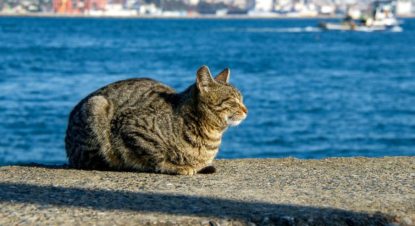 20 fok feletti maximumokat hoz a húsvét