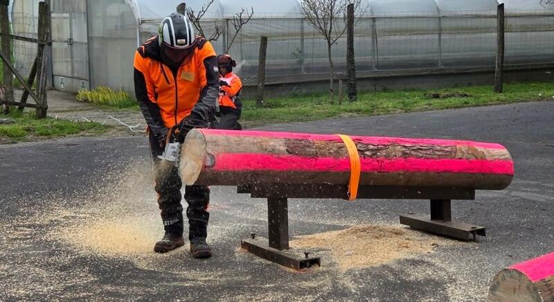 Ifjú erdészek csaptak össze Somogyban