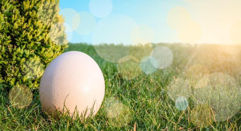 Időjárás: Ez vár ránk Húsvétkor