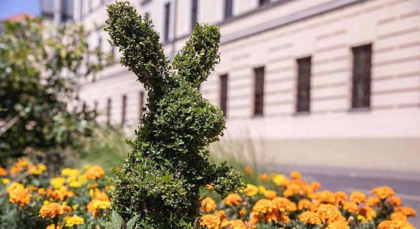 Itt vannak a legjobb húsvéti sms-ek! Csapj le a legjobbakra!