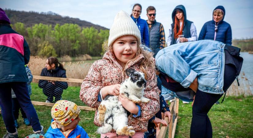 Várták a húsvétot Sötétvölgyben is – sok élményt kínált a pénteki termelői piac (képgaléria)