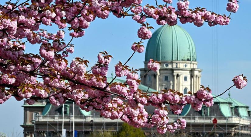 Ideálisnak tűnhetnek a hétvégi körülmények: jobb lesz azonban vigyázni, sokak számára könnyen kellemetlenné válhatnak a húsvéti napok