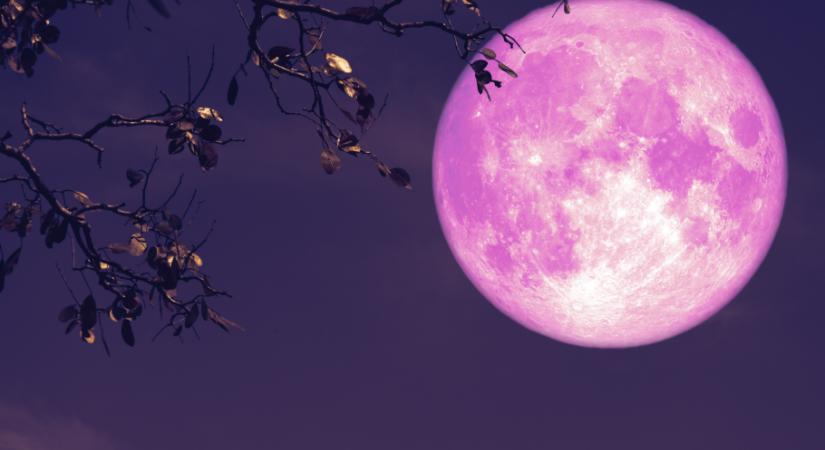 5 jelentős változás, amit megtapasztalhatsz az áprilisi rózsaszín telihold után