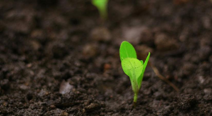 Talajstratégia 7 lépésben