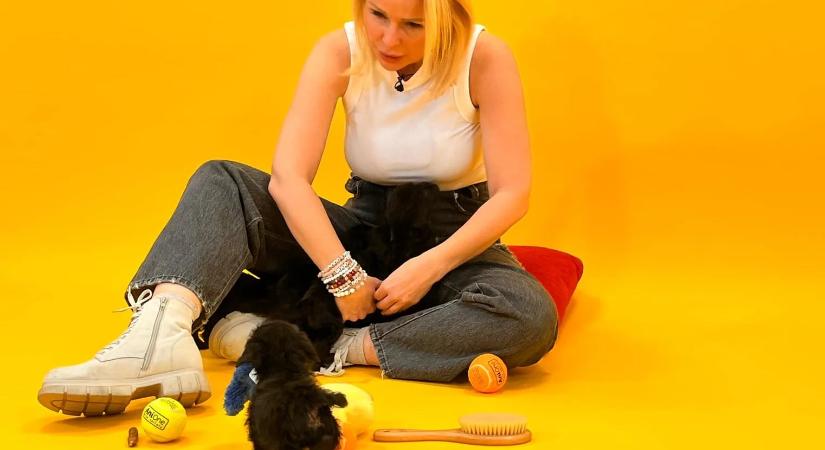 Itt a vége: Köllő Babett nem vállal több színházi munkát