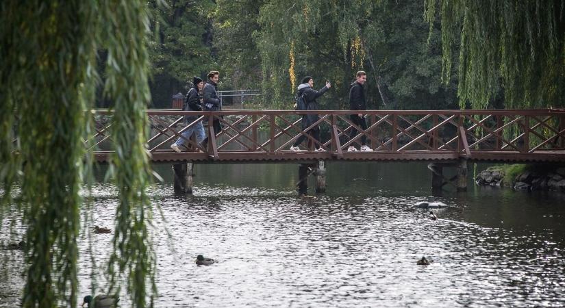 Ekkortól lehet ismét csónakázni a sástói tavon