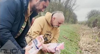 MKKP: macskaalommal a tisztább vizekért