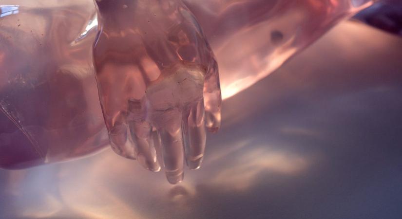 Poszter helyett: Hegedűs Anett