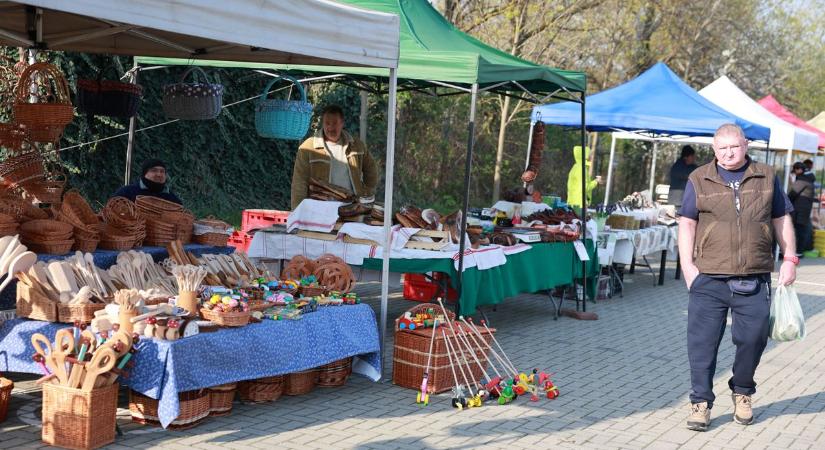 A gyerekeket alpakák, a felnőtteket gazdag és színes kínálat várta a Hóci parton (képgalériával)