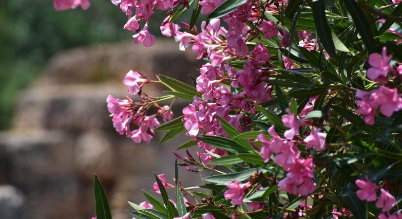 Szép idő, de a szél beleszól az időjárásba