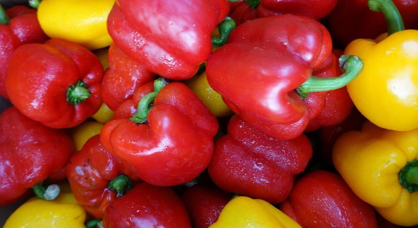 Sokkoló drágulás a paprikapiacon – megdőlt az eddigi árrekord