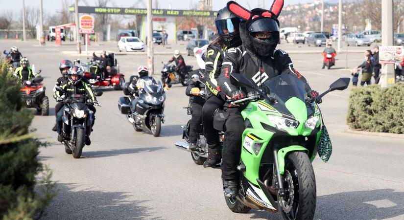 Megállt a forgalom: nyuszis motorosok vették át az uralmat Pécsen (GALÉRIA, VIDEÓ)