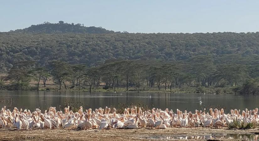 Sosem látott arcát mutatja meg Kenya Ritának – Íme, a bakancslistás ország kulisszatitkai