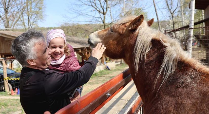 Tavaszi varázslat a majorságban: megtelt a Baráthegy nagypénteken - fotókkal, videóval