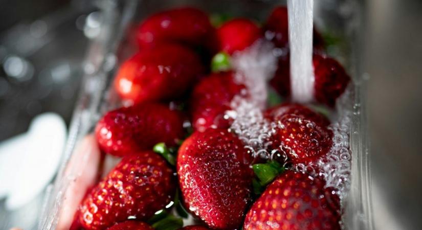 Sokan nem mossák meg azonnal a gyümölcsöt hazavitel után – és ennek jó oka van