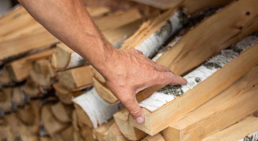 Lehet, hogy védett erdőt égetsz el otthon, sokan így vannak vele