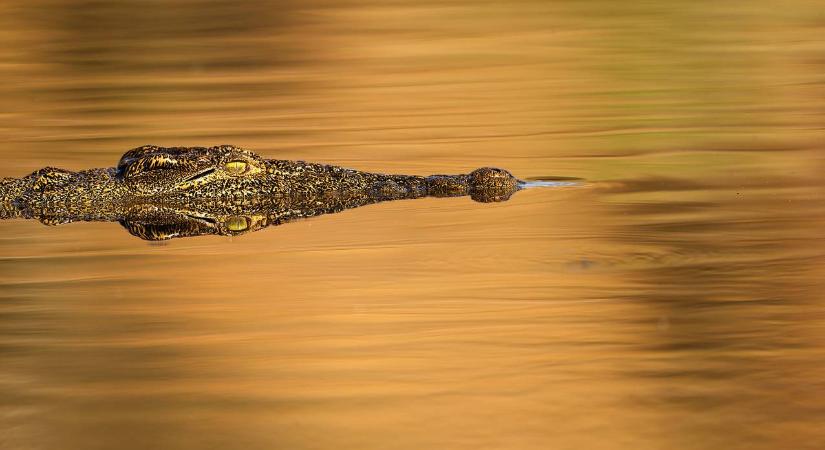 Narancssárga krokodilok laknak ebben a barlangban