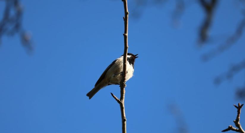 Extrém lesz a nagyszombati időjárás: fagy is és meleg is várható