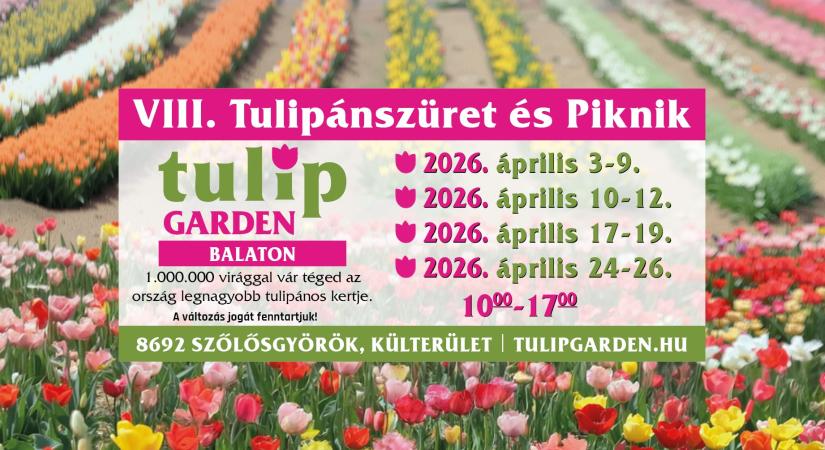 Április elején teljes pompában nyílik a Tulip Garden