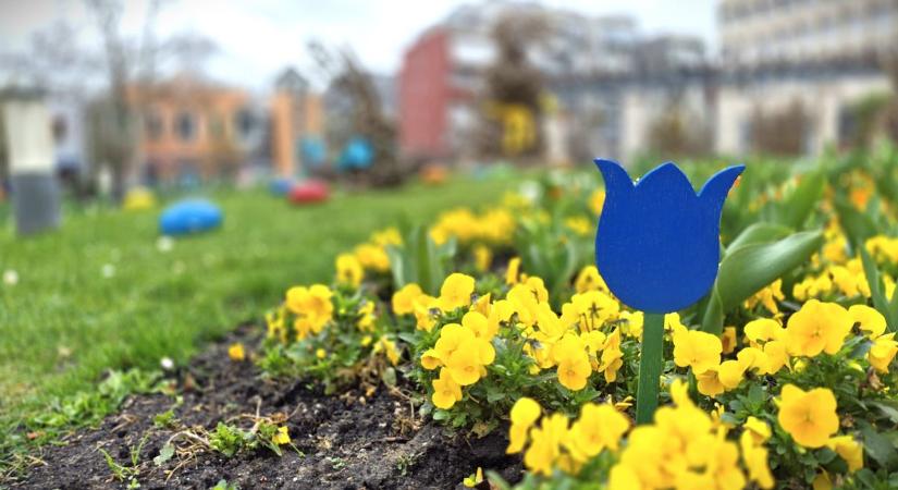 Mi lesz a hangos kampány után? Erről is posztolt a zalai polgármester