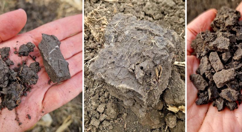 Talajstratégiák I. rész – Tömörödöttség