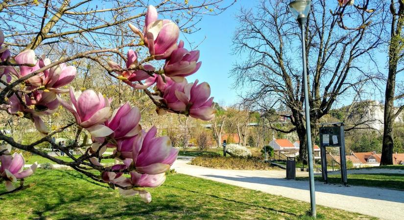 Többórás napsütés jön, egész hétvégén kellemes idő várható