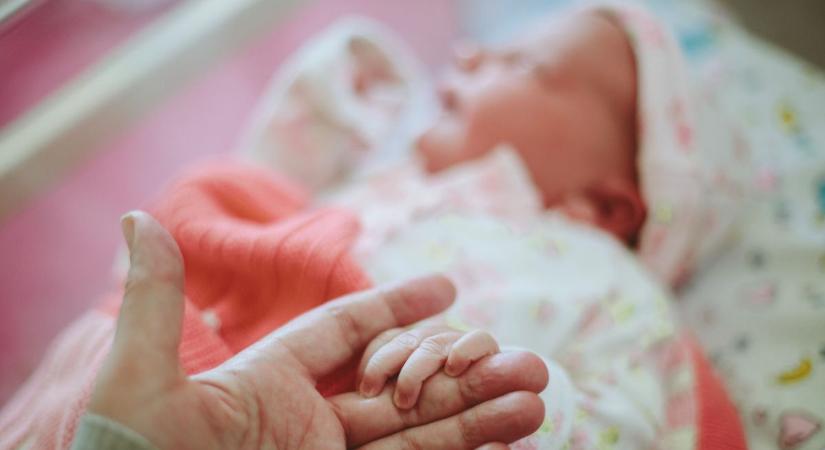 9 kisbaba született az elmúlt napokban
