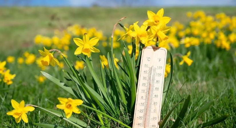 Napsütés és tavaszi fordulat jön a nyuszival a hétvégén; mehet a tojáskeresés és locsolkodás