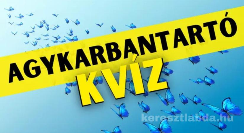 Napi agykarbantartó feladat: Hány zöld lepkét látsz? Szűrd ki a lényeget a tömegből!