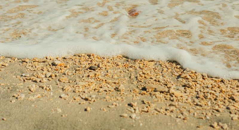 Dróndarabokat találtak a tengerparton