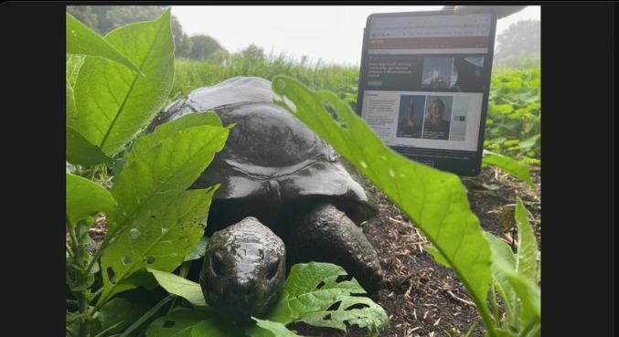 Botrányos átverés terjed