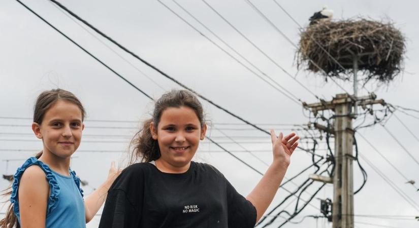 Ezen a településen akar költeni a legidősebb gólya Győr-Moson-Sopronban