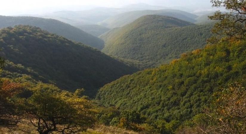 Középkori szekérnyomok a Bükkben: évszázados utak nyomai őrzik a múltat