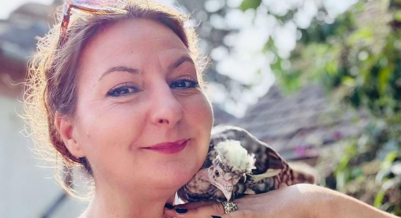 Nem csalás, nem ámítás: a mesés zalai farmon eleve színes tojásokat tojnak a tyúkok! (galéria)