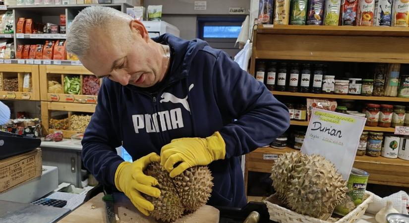 Nem adta könnyen magát a világ legbüdösebb gyümölcse Szegeden