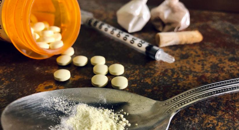 Virágföldnek álcázva: több mint egy tonna kokaint rejtett a teherautó