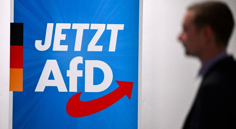 Applikációval leplezi le a gombamód szaporodó berlini késeléseket az AfD