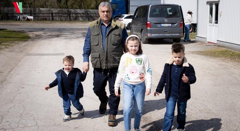 Orbán Viktor újabb fotókat mutatott a húsvéti sonkabeszerzésről