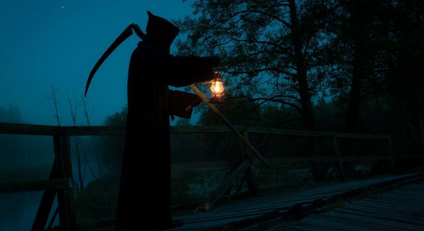 Tömegesen pusztulnak el a kutyák ezen a hídon, a séta egy pontján még a legjólneveltebb eb is megőrül