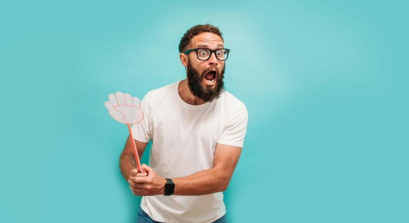 Ha ezt tudod, a darazsak és a szúnyogok is távol maradnak a kertedtől!