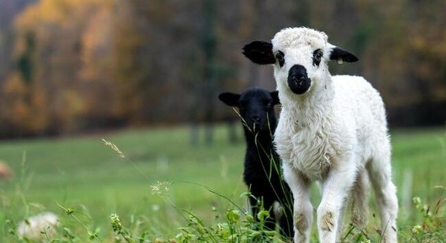 Milyen idő várható nagyszombaton? - Itt a friss előrejelzés április 4-re