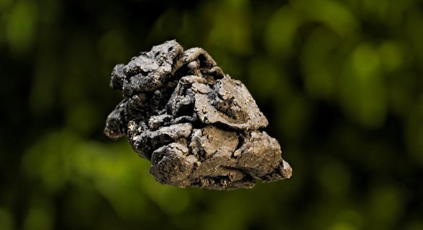 Bámulatos kincset talált egy magyar felfedező az USA-ban, 50 kilométert bejárt egy apró „űrkavicsért”