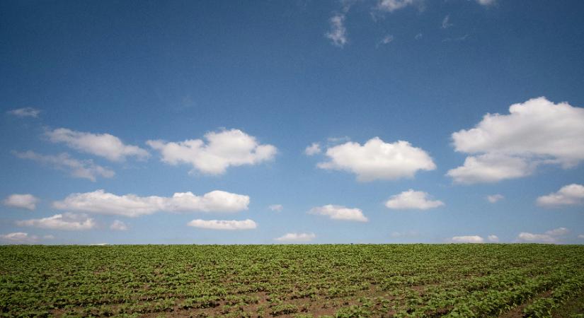 Legyen kéznél a napszemüveg, másra nem lesz szükség