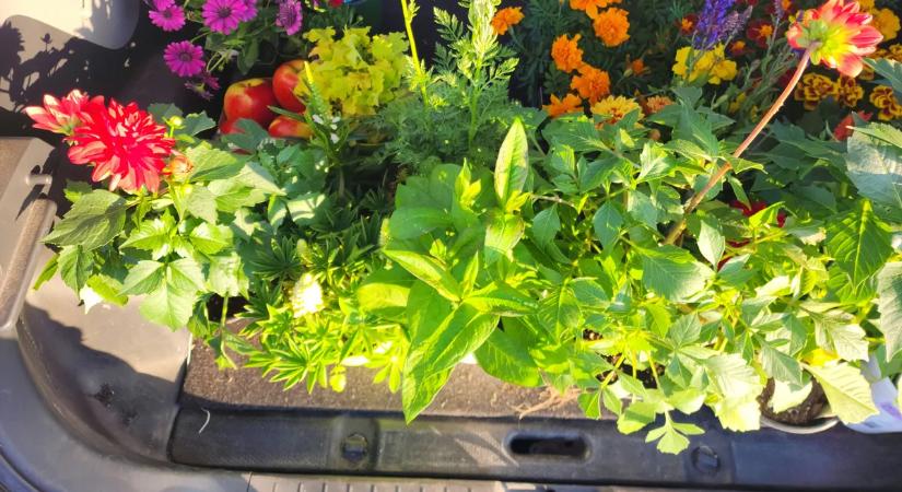 Csak a profik tudják: ön hány kérdésre válaszol jól ebben a nehéz tavaszi kvízben?